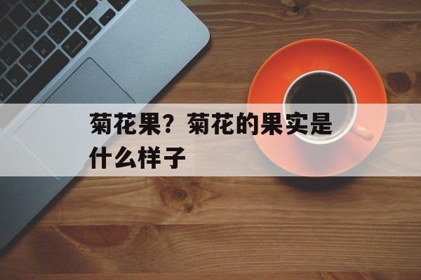 菊花果？菊花的果实是什么样子-第1张图片-