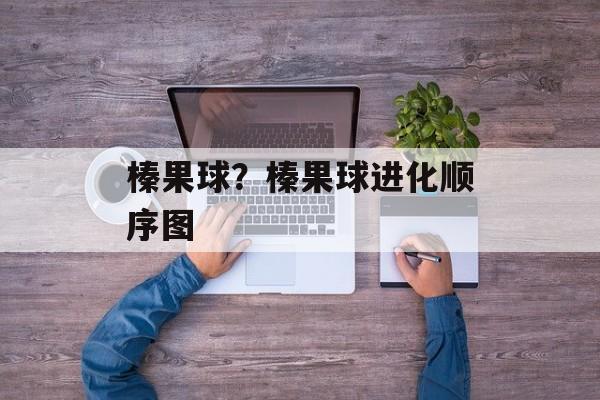 榛果球？榛果球进化顺序图-第1张图片-