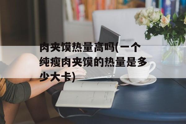 肉夹馍热量高吗(一个纯瘦肉夹馍的热量是多少大卡)-第1张图片-