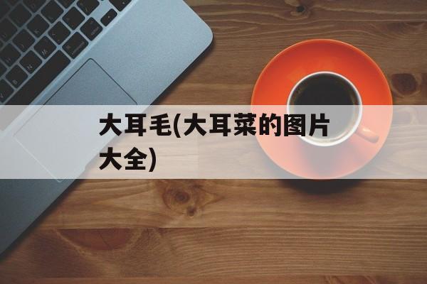 大耳毛(大耳菜的图片大全)-第1张图片-