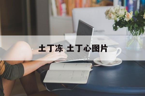 土丁冻 土丁心图片-第1张图片-