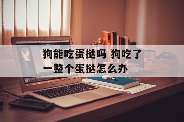 狗能吃蛋挞吗 狗吃了一整个蛋挞怎么办-第1张图片-