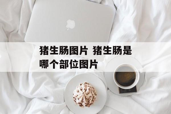 猪生肠图片 猪生肠是哪个部位图片-第1张图片-