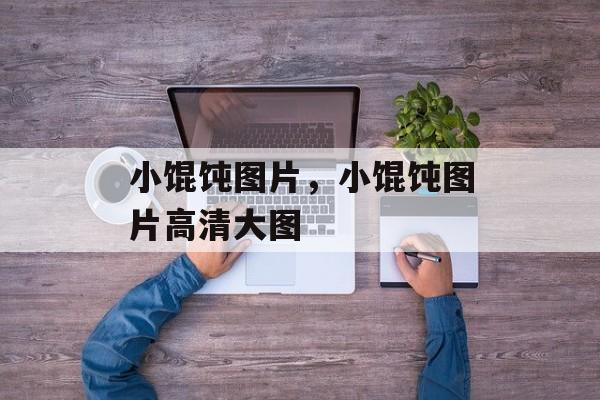 小馄饨图片，小馄饨图片高清大图-第1张图片-