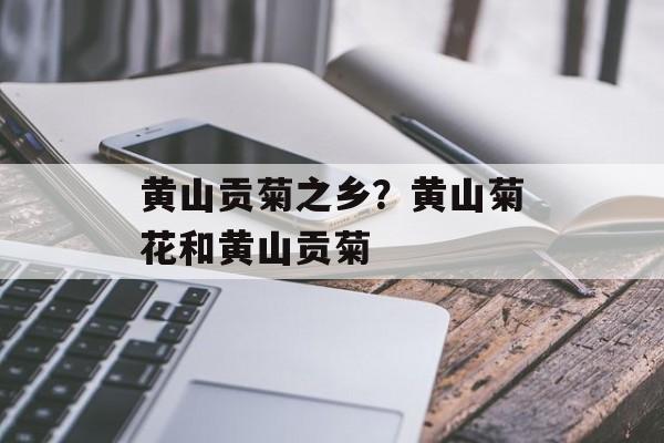 黄山贡菊之乡？黄山菊花和黄山贡菊-第1张图片-