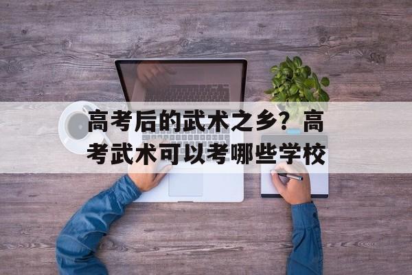 高考后的武术之乡？高考武术可以考哪些学校-第1张图片-