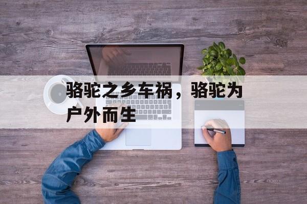 骆驼之乡车祸，骆驼为户外而生-第1张图片-
