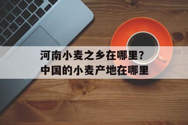 河南小麦之乡在哪里？中国的小麦产地在哪里-第1张图片-