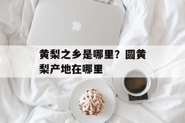 黄梨之乡是哪里？圆黄梨产地在哪里-第1张图片-