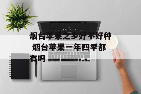 烟台苹果之乡好不好种 烟台苹果一年四季都有吗-第1张图片-