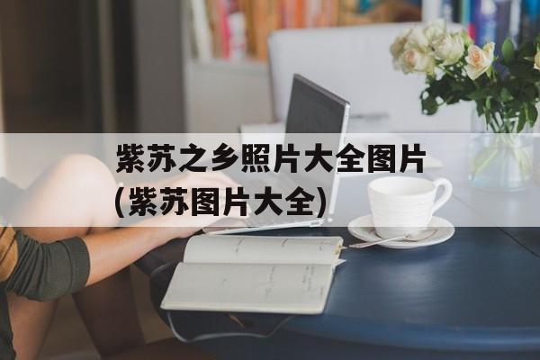 紫苏之乡照片大全图片(紫苏图片大全)-第1张图片-
