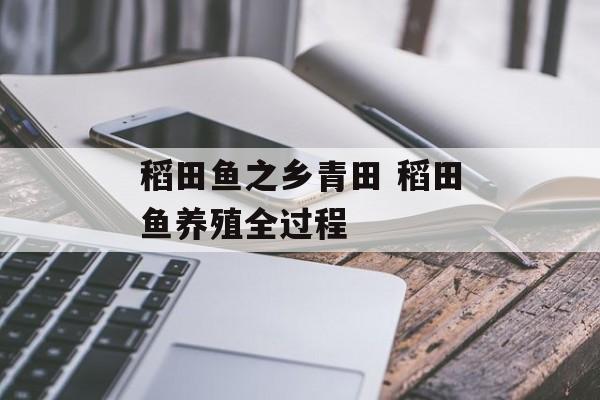 稻田鱼之乡青田 稻田鱼养殖全过程-第1张图片-