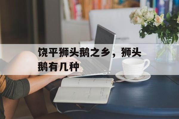 饶平狮头鹅之乡，狮头鹅有几种-第1张图片-