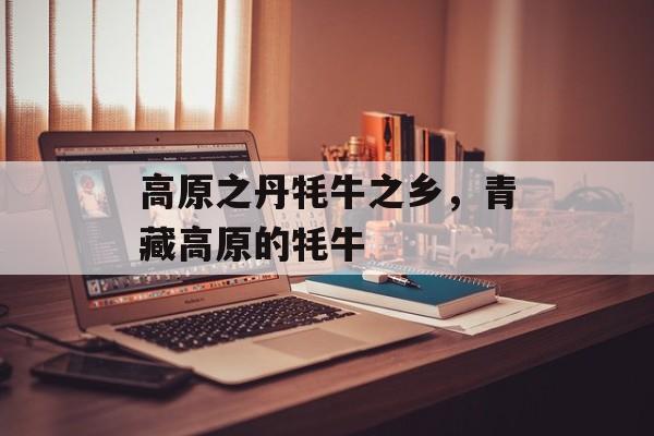 高原之丹牦牛之乡，青藏高原的牦牛-第1张图片-