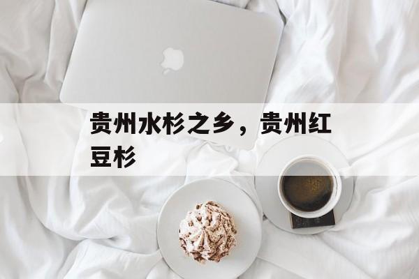 贵州水杉之乡，贵州红豆杉-第1张图片-