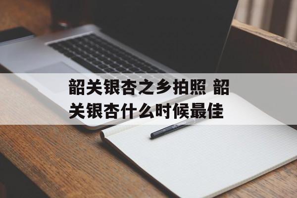 韶关银杏之乡拍照 韶关银杏什么时候最佳-第1张图片-