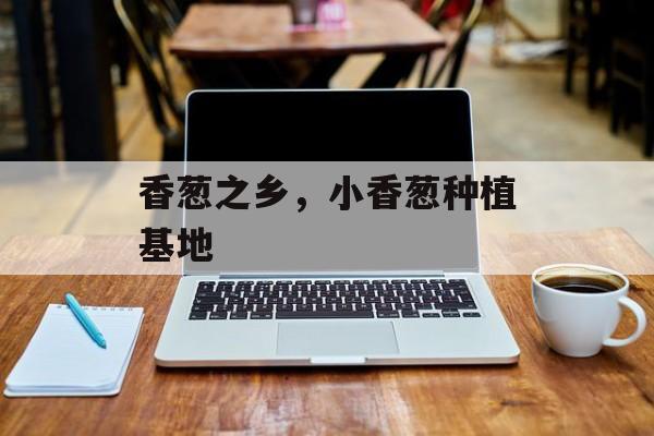 香葱之乡，小香葱种植基地-第1张图片-