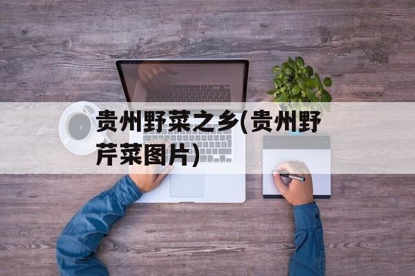 贵州野菜之乡(贵州野芹菜图片)-第1张图片-