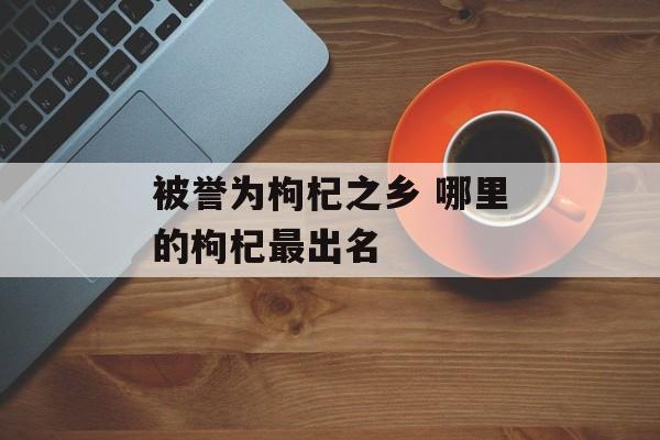 被誉为枸杞之乡 哪里的枸杞最出名-第1张图片-