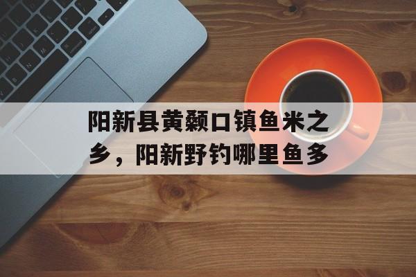 阳新县黄颡口镇鱼米之乡，阳新野钓哪里鱼多-第1张图片-
