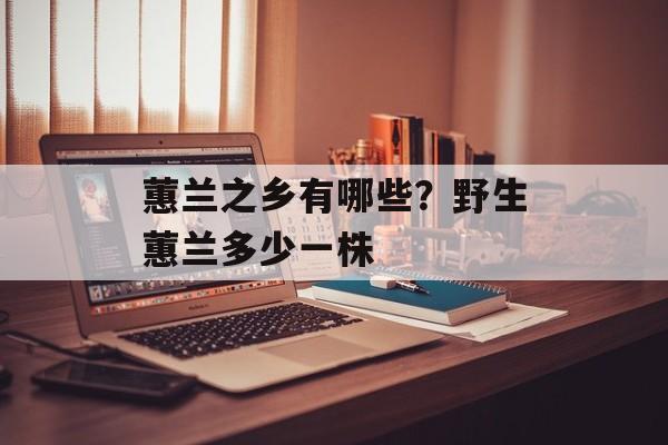 蕙兰之乡有哪些？野生蕙兰多少一株-第1张图片-