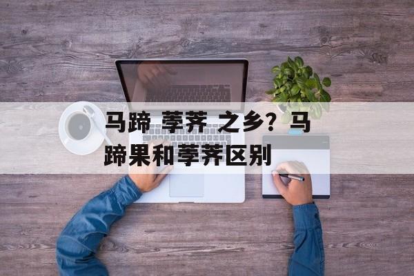 马蹄 荸荠 之乡？马蹄果和荸荠区别-第1张图片-