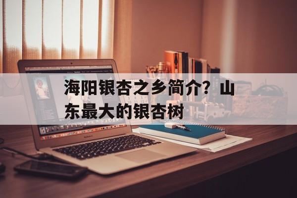 海阳银杏之乡简介？山东最大的银杏树-第1张图片-