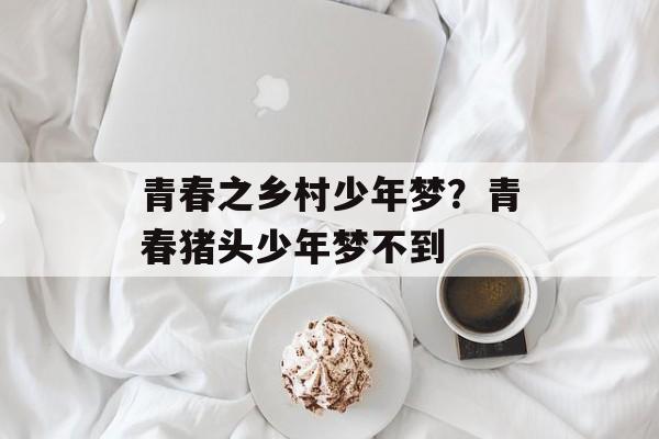 青春之乡村少年梦？青春猪头少年梦不到-第1张图片-
