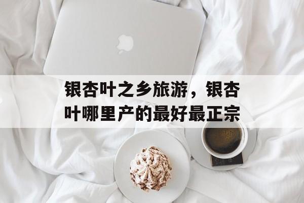 银杏叶之乡旅游，银杏叶哪里产的最好最正宗-第1张图片-