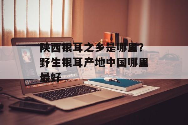 陕西银耳之乡是哪里？野生银耳产地中国哪里最好-第1张图片-
