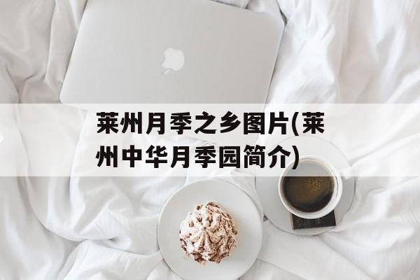 莱州月季之乡图片(莱州中华月季园简介)-第1张图片-