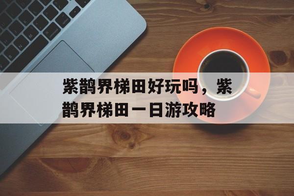 紫鹊界梯田好玩吗，紫鹊界梯田一日游攻略-第1张图片-