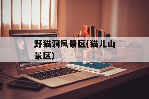 野猫洞风景区(猫儿山景区)-第1张图片-