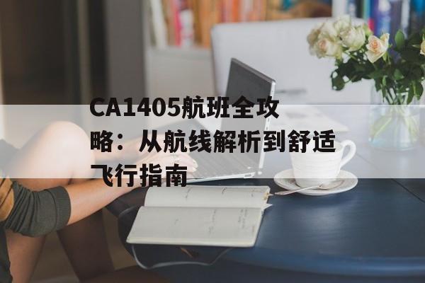 CA1405航班全攻略:从航线解析到舒适飞行指南-第1张图片- CA1405航班全攻略:从航线解析到舒适飞行指南-第1张图片-